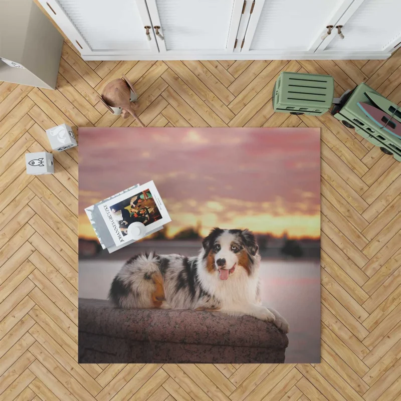 Active Depth of Field Beauty: Australian Shepherd Floor Rug