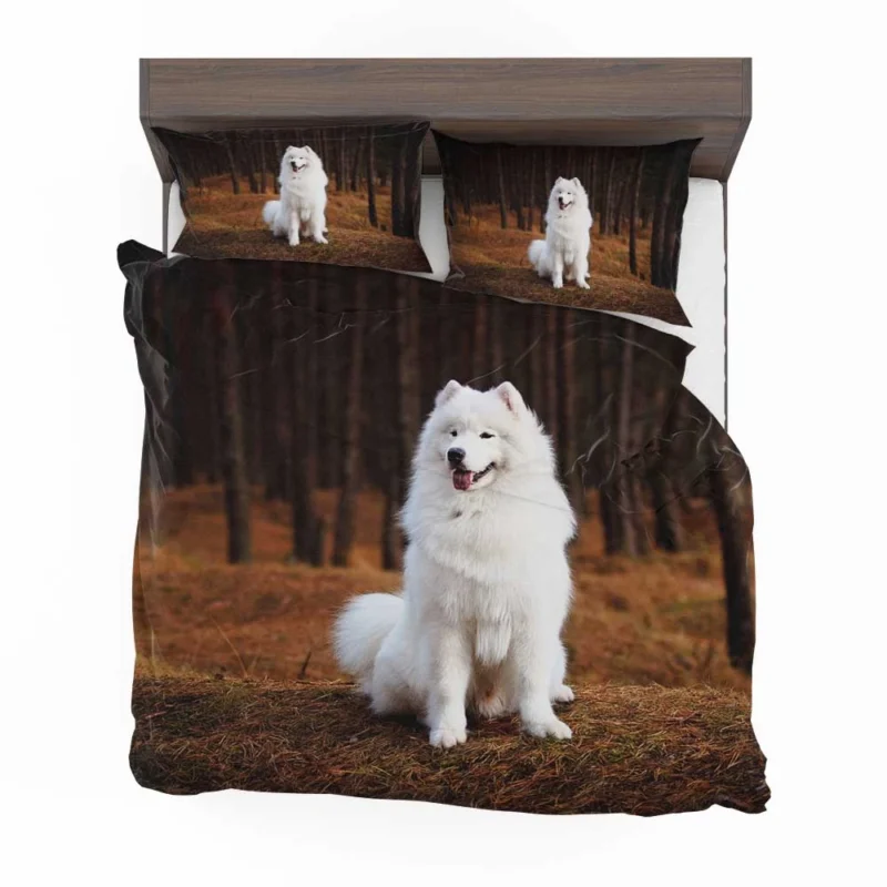 Active Depth of Field Beauty: Samoyed Quartet Bedding Set 1