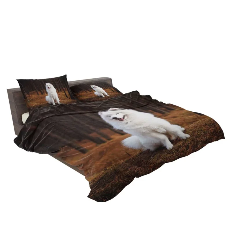 Active Depth of Field Beauty: Samoyed Quartet Bedding Set 2