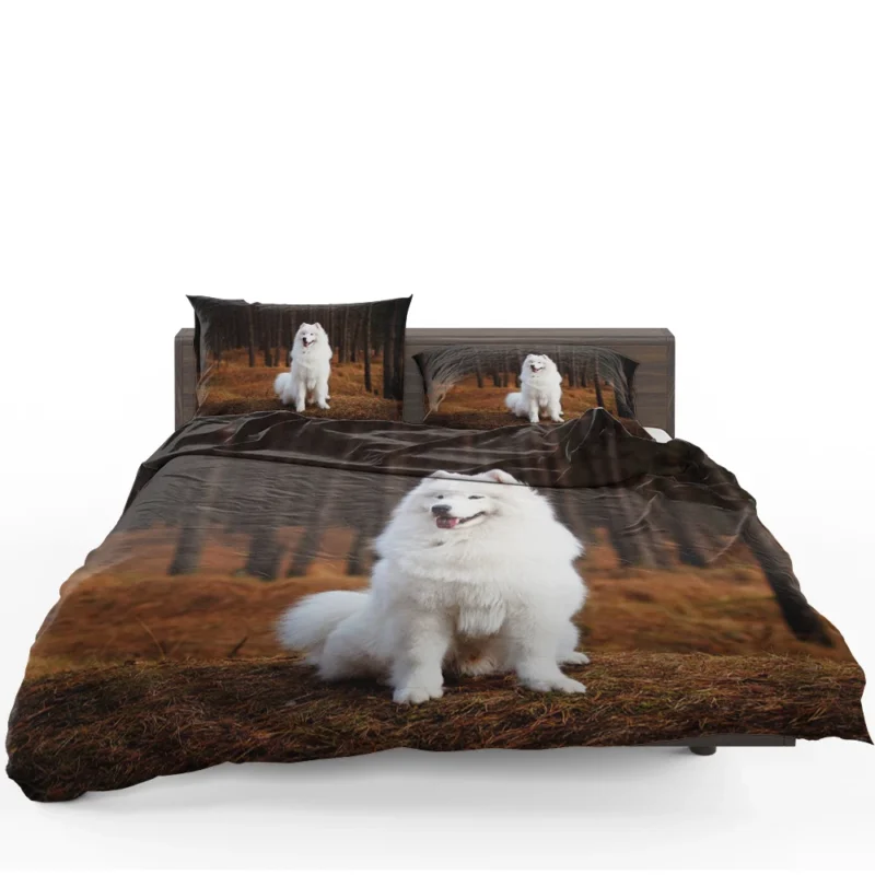 Active Depth of Field Beauty: Samoyed Quartet Bedding Set