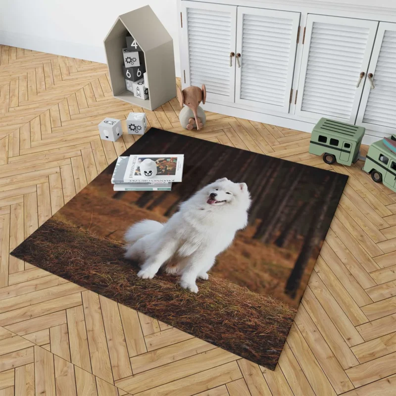 Active Depth of Field Beauty: Samoyed Quartet Floor Rug 1