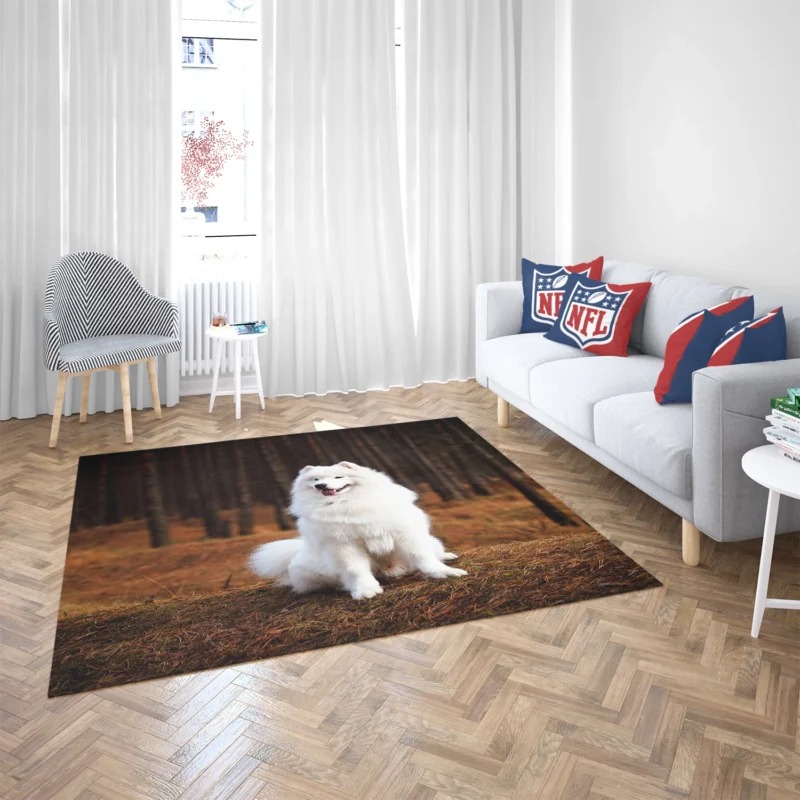 Active Depth of Field Beauty: Samoyed Quartet Floor Rug 2