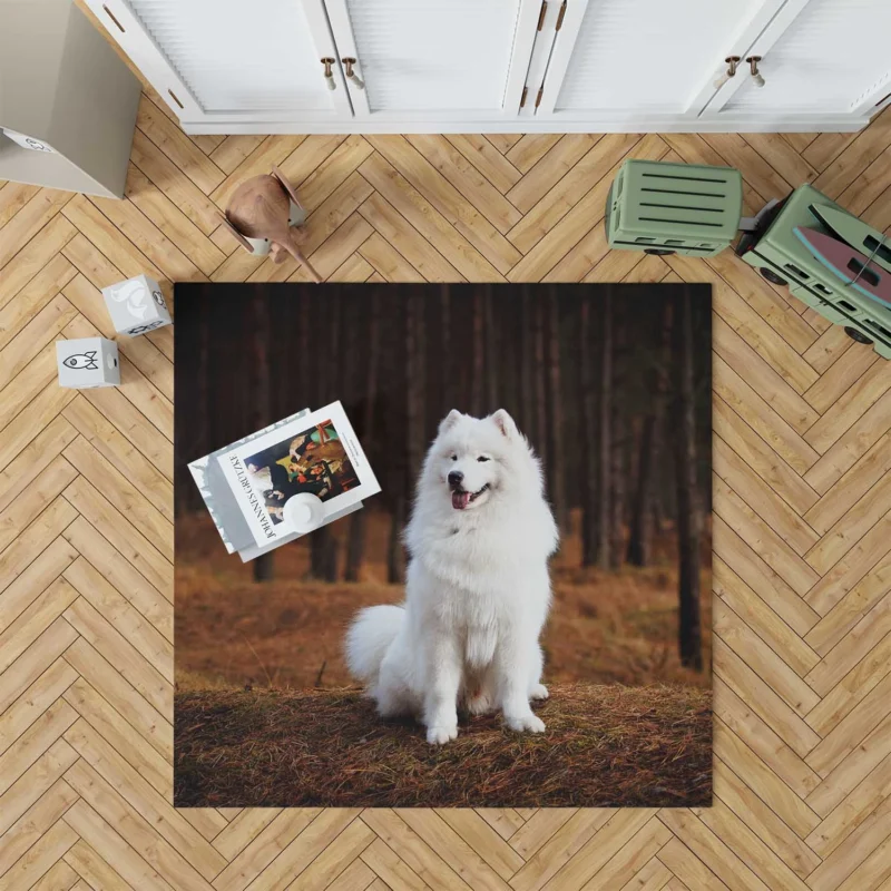 Active Depth of Field Beauty: Samoyed Quartet Floor Rug