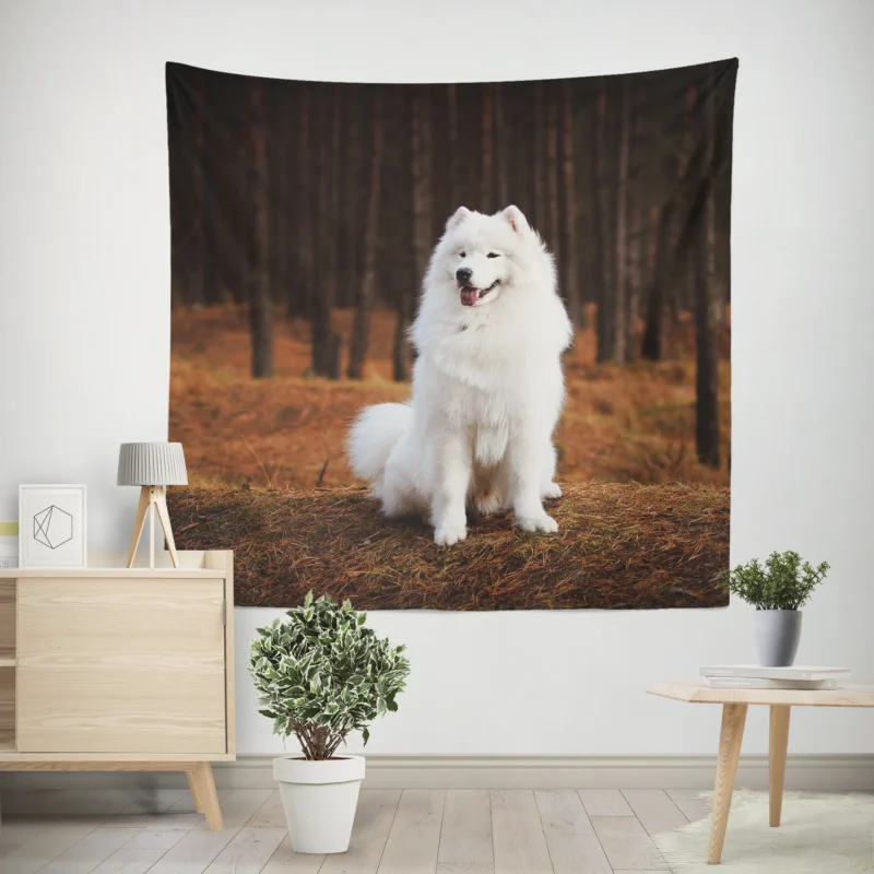 Active Depth of Field Beauty  Samoyed Quartet Wall Tapestry