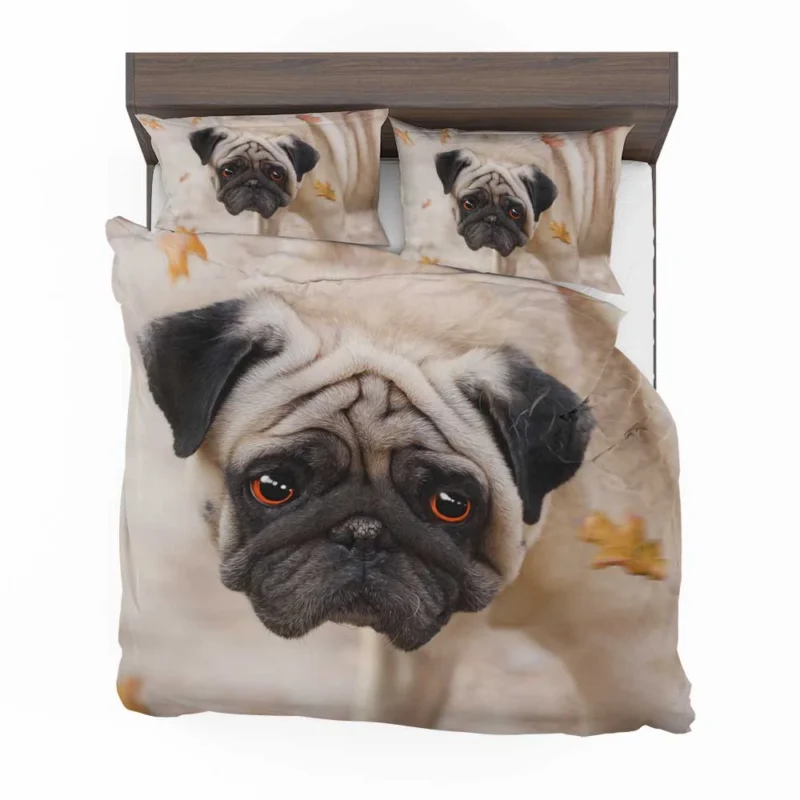 Active Fourfold Pug Majesty: Pug Quartet Bedding Set 1