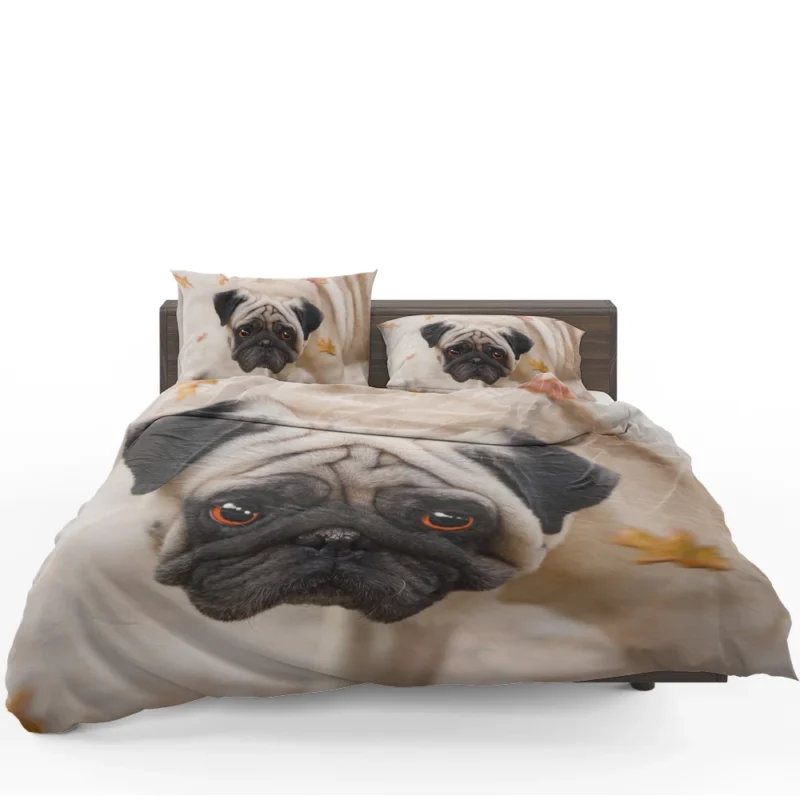 Active Fourfold Pug Majesty: Pug Quartet Bedding Set