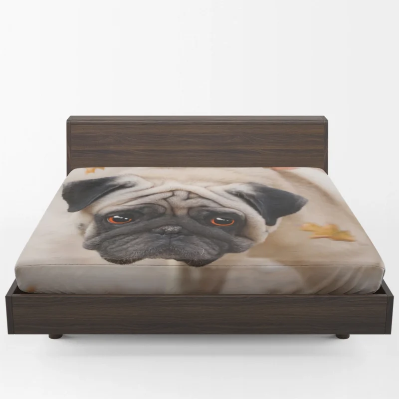 Active Fourfold Pug Majesty: Pug Quartet Fitted Sheet 1