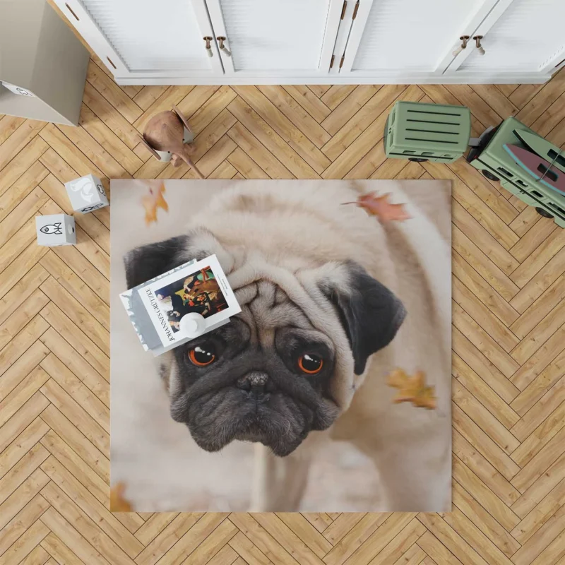 Active Fourfold Pug Majesty: Pug Quartet Floor Rug