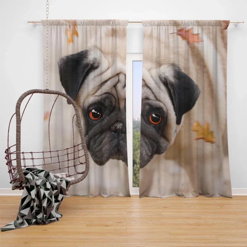 Active Fourfold Pug Majesty: Pug Quartet Window Curtain