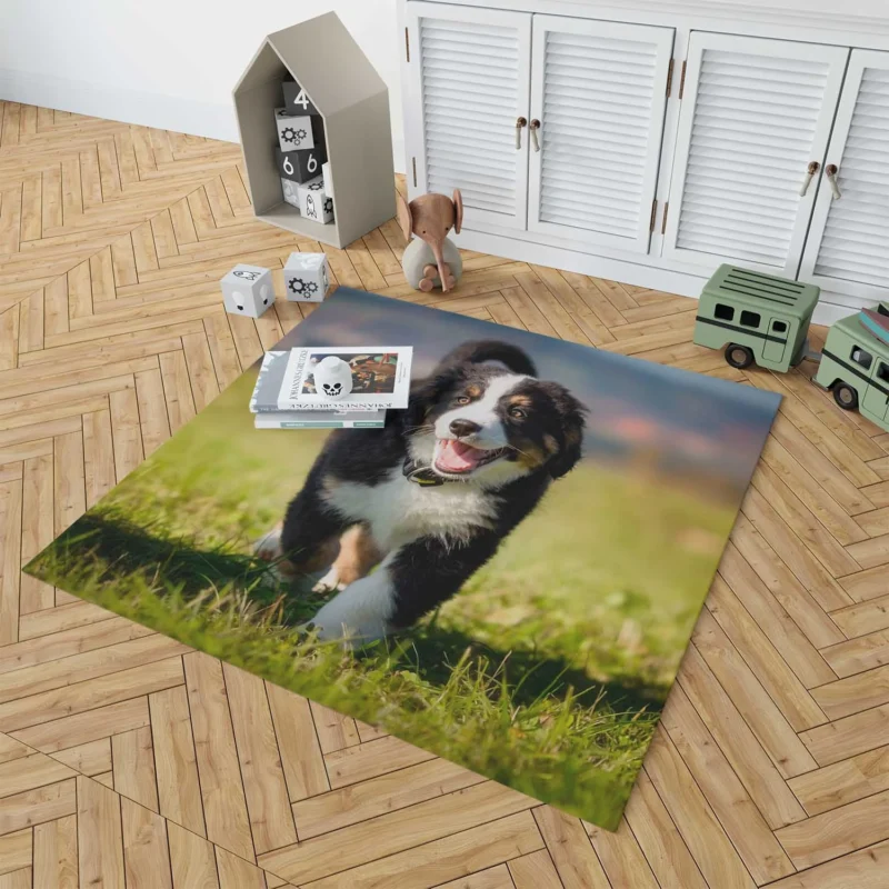 Active Pups in Bernese Beauty: Bernese Mountain Dog Floor Rug 1