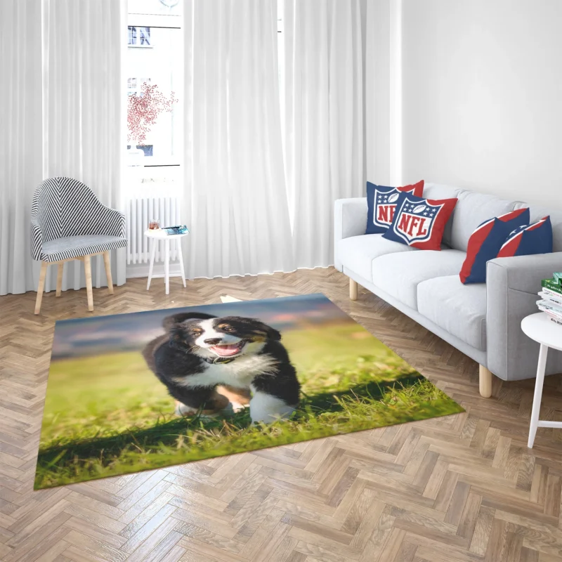 Active Pups in Bernese Beauty: Bernese Mountain Dog Floor Rug 2