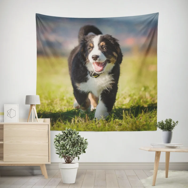 Active Pups in Bernese Beauty  Bernese Mountain Dog Wall Tapestry