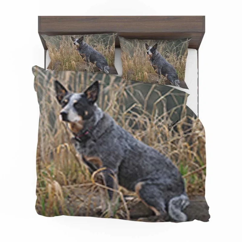 Active and Agile Pups: Australian Cattle Dog Bedding Set 1