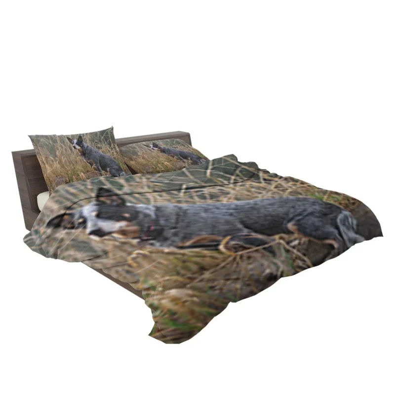 Active and Agile Pups: Australian Cattle Dog Bedding Set 2