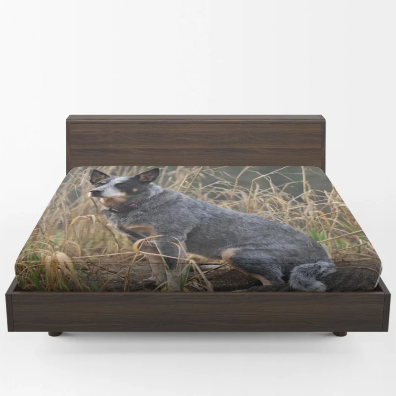 Active and Agile Pups: Australian Cattle Dog Fitted Sheet 1