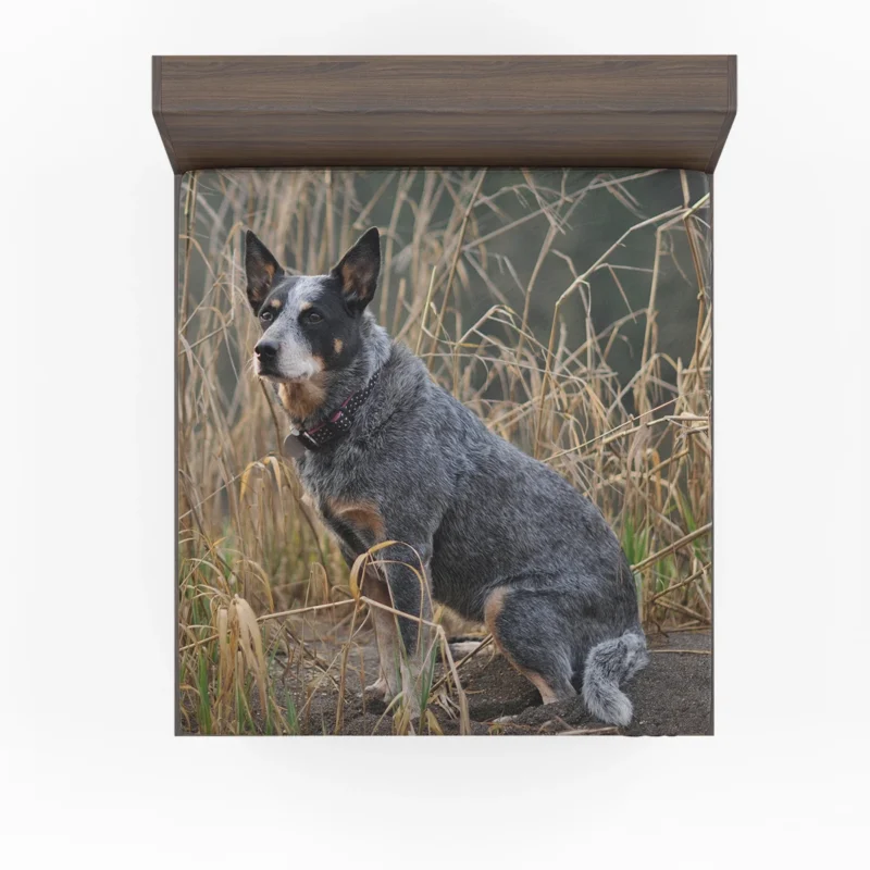 Active and Agile Pups: Australian Cattle Dog Fitted Sheet