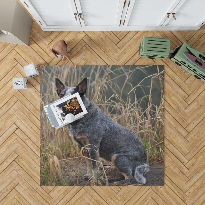 Active and Agile Pups: Australian Cattle Dog Floor Rug