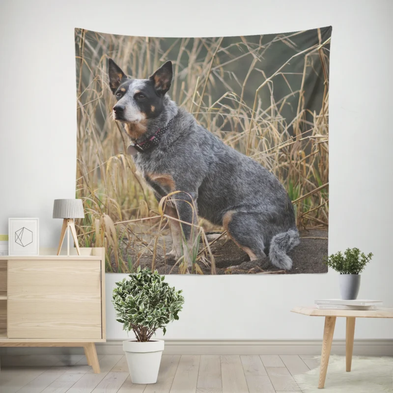 Active and Agile Pups  Australian Cattle Dog Wall Tapestry