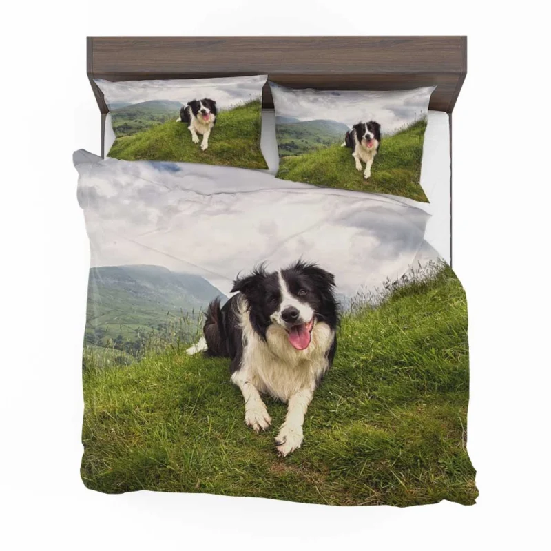 Active and Energetic Border Collie: Border Collie Bedding Set 1
