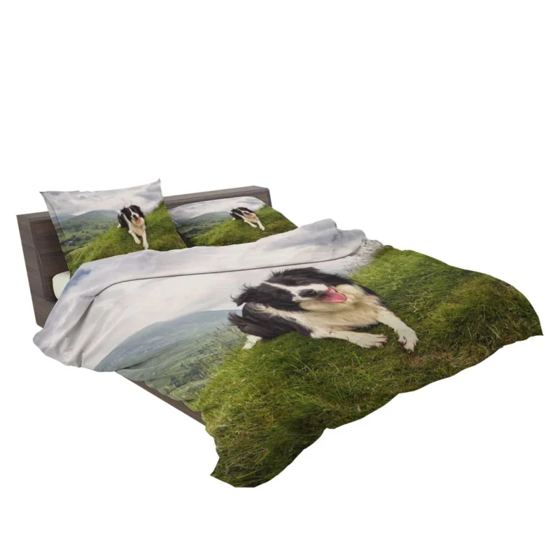 Active and Energetic Border Collie: Border Collie Bedding Set 2