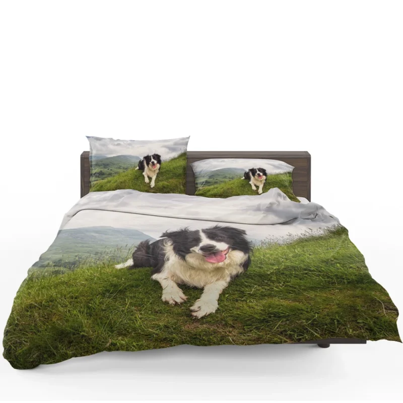 Active and Energetic Border Collie: Border Collie Bedding Set