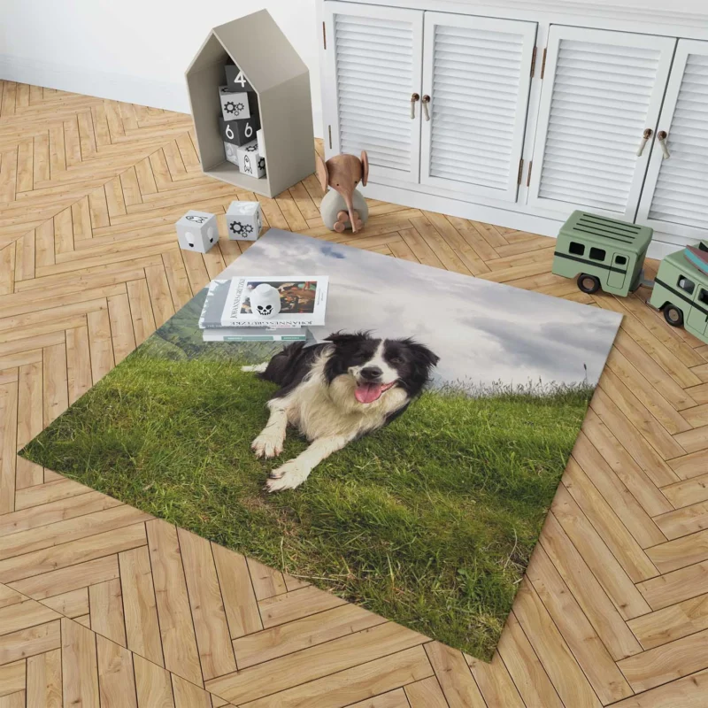 Active and Energetic Border Collie: Border Collie Floor Rug 1