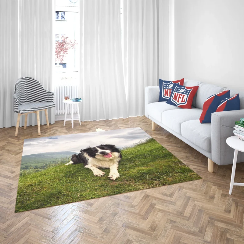 Active and Energetic Border Collie: Border Collie Floor Rug 2