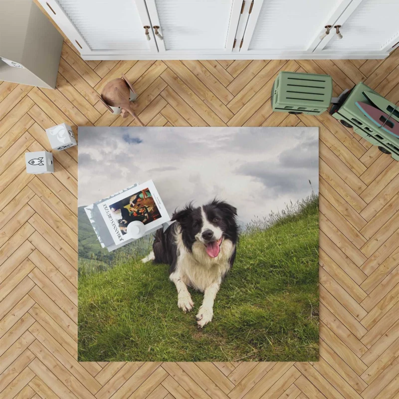 Active and Energetic Border Collie: Border Collie Floor Rug