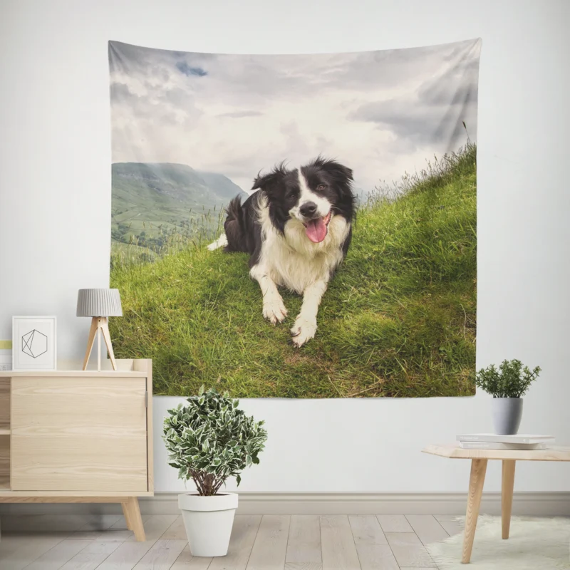 Active and Energetic Border Collie  Border Collie Wall Tapestry