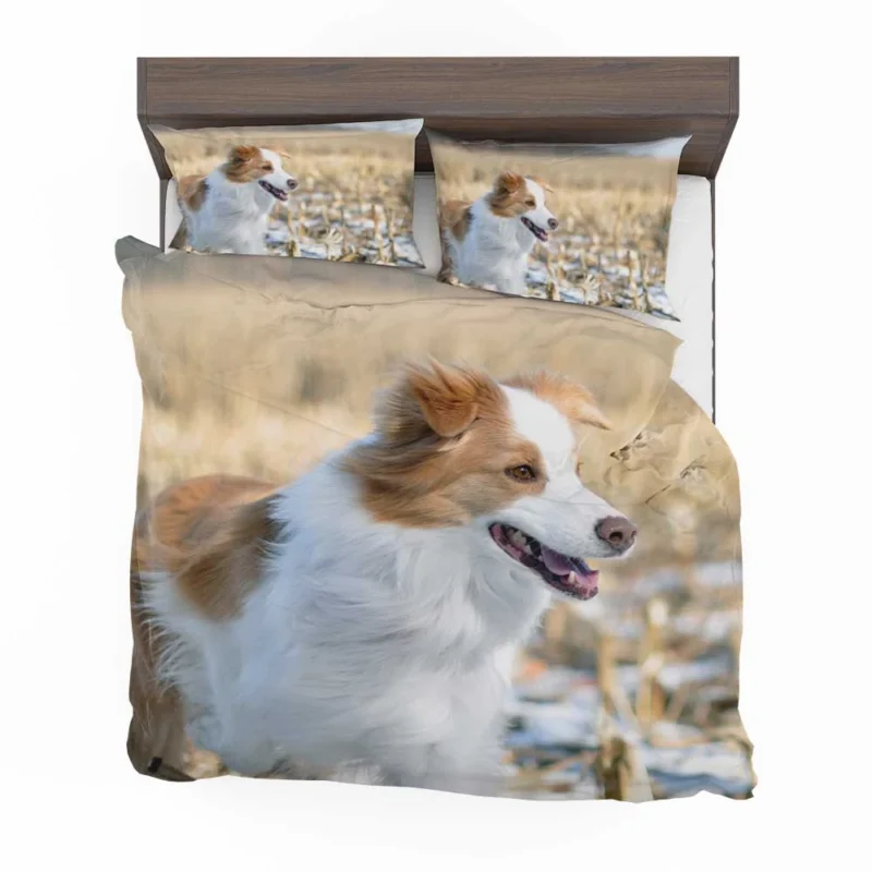 Active and Energetic Playful Border Collie: Border Collie Bedding Set 1