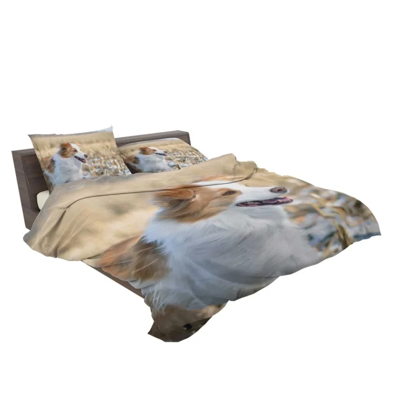 Active and Energetic Playful Border Collie: Border Collie Bedding Set 2
