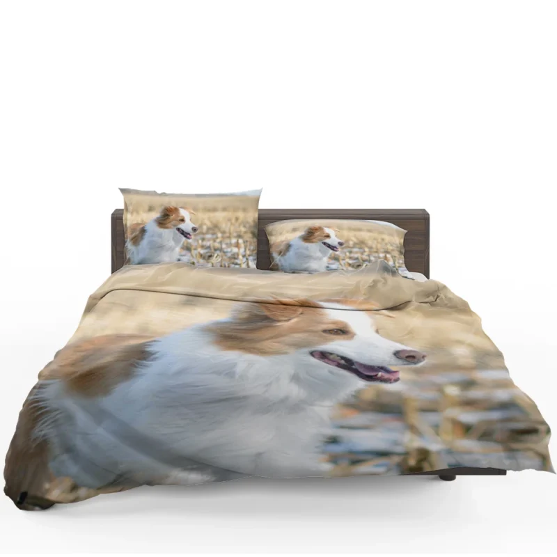 Active and Energetic Playful Border Collie: Border Collie Bedding Set
