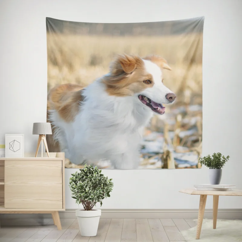 Active and Energetic Playful Border Collie  Border Collie Wall Tapestry