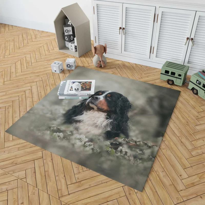 Admiring Blossoms: Bernese Mountain Dog Floor Rug 1