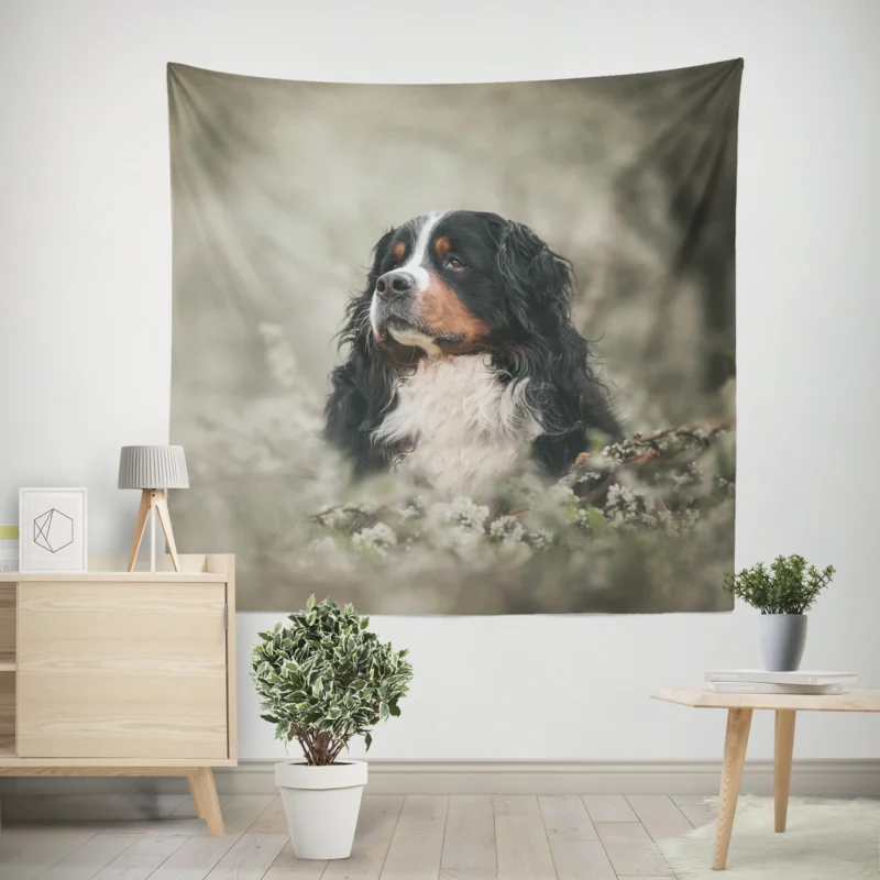 Admiring Blossoms  Bernese Mountain Dog Wall Tapestry