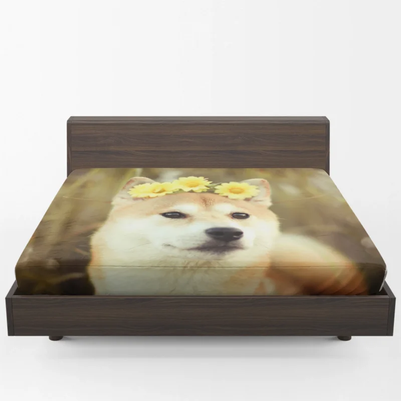 Admiring a Beautiful Flower: Shiba Inu Quartet Fitted Sheet 1