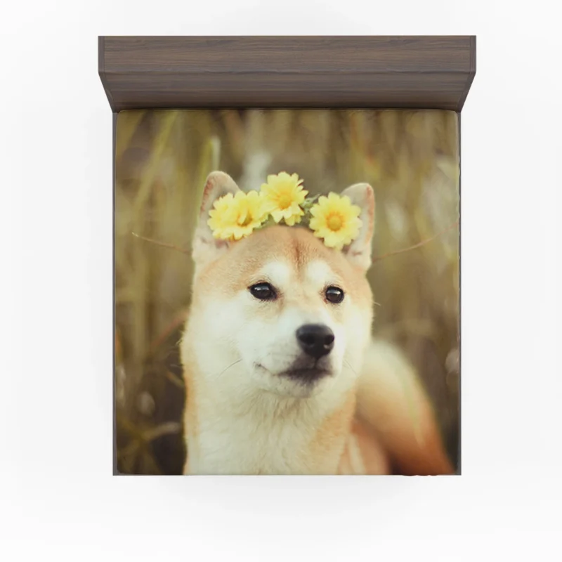 Admiring a Beautiful Flower: Shiba Inu Quartet Fitted Sheet