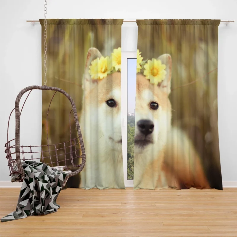 Admiring a Beautiful Flower: Shiba Inu Quartet Window Curtain