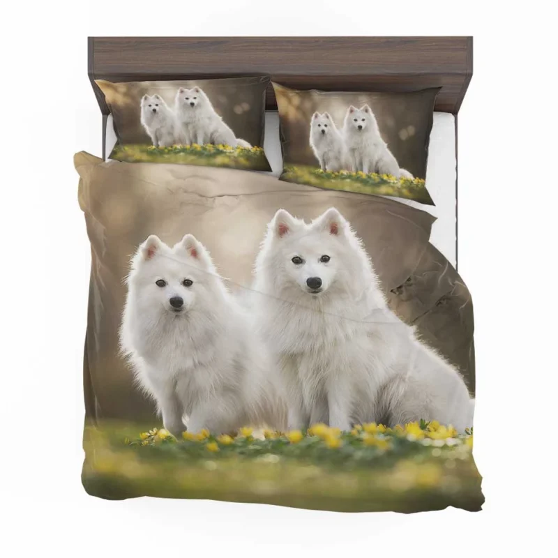 Admiring a Delicate Flower: Spitz Quartet Bedding Set 1