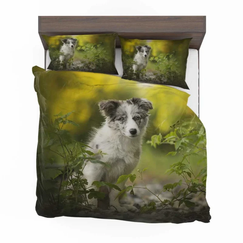 Adorable Ba and Puppy Charm: Australian Shepherd Puppy Bedding Set 1