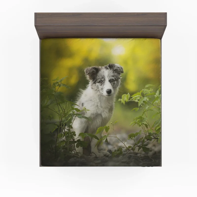 Adorable Ba and Puppy Charm: Australian Shepherd Puppy Fitted Sheet