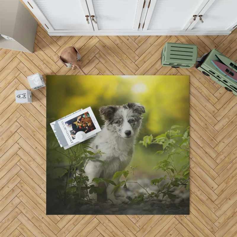 Adorable Ba and Puppy Charm: Australian Shepherd Puppy Floor Rug