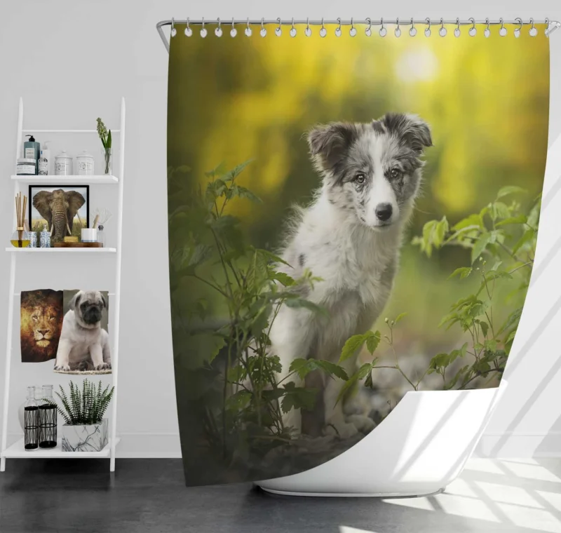 Adorable Ba and Puppy Charm: Australian Shepherd Puppy Shower Curtain