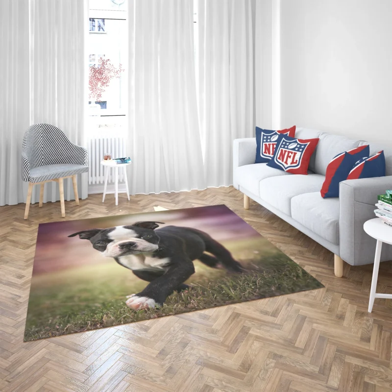 Adorable Boston Terrier Pups with Ba: Boston Terrier Floor Rug 2