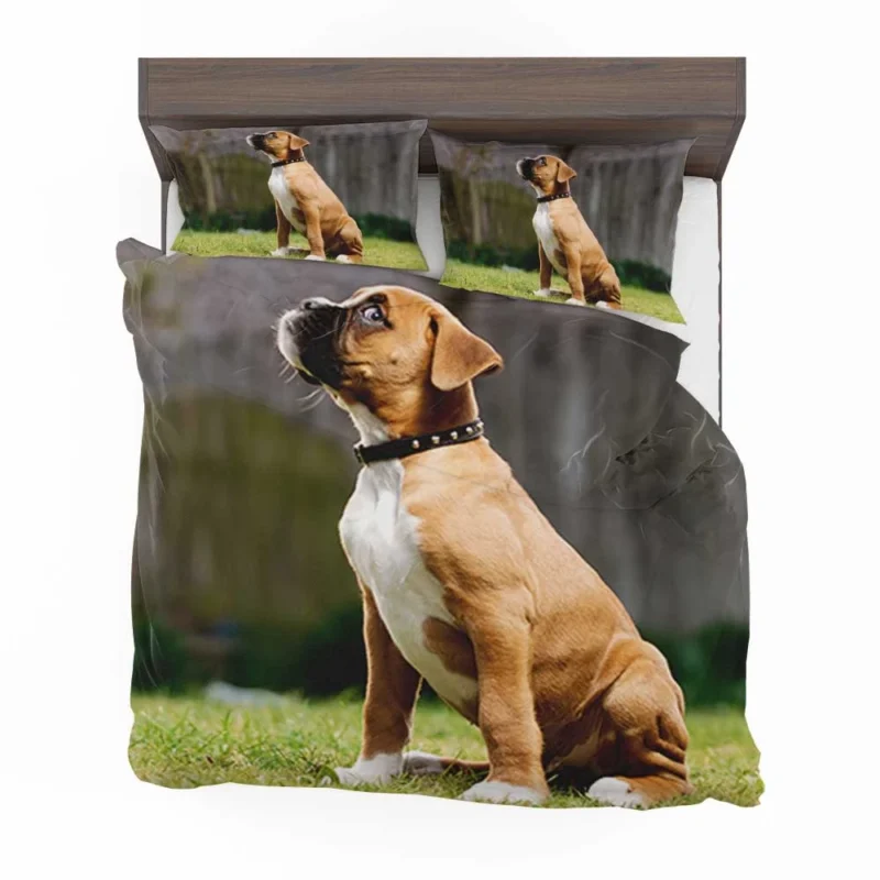 Adorable Boxer Puppy: Boxer Bedding Set 1
