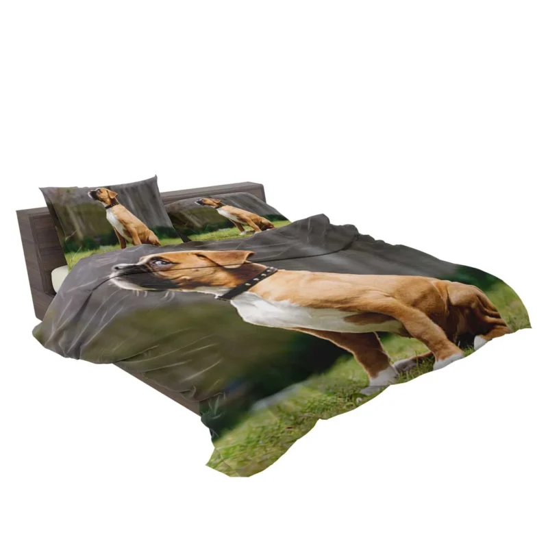 Adorable Boxer Puppy: Boxer Bedding Set 2
