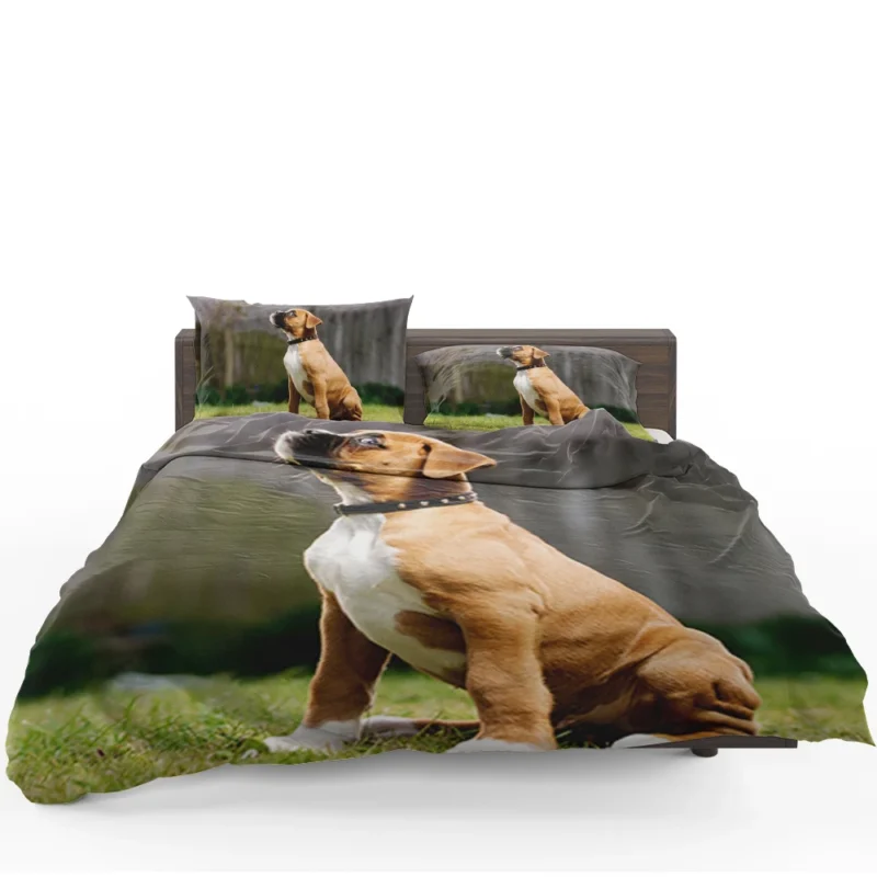 Adorable Boxer Puppy: Boxer Bedding Set