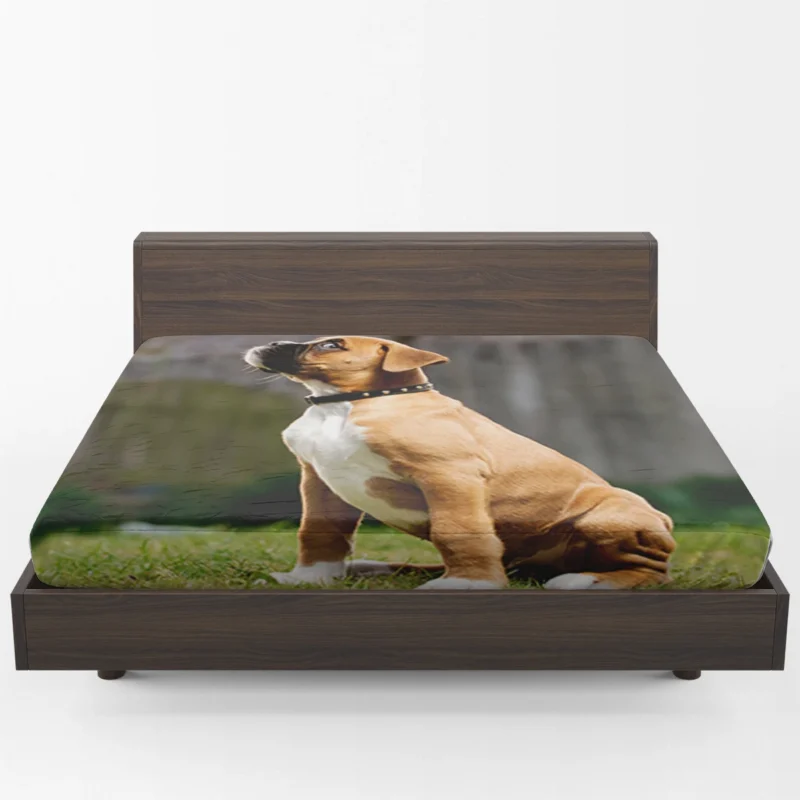 Adorable Boxer Puppy: Boxer Fitted Sheet 1