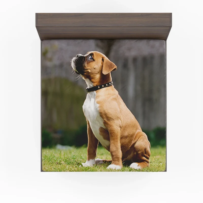 Adorable Boxer Puppy: Boxer Fitted Sheet