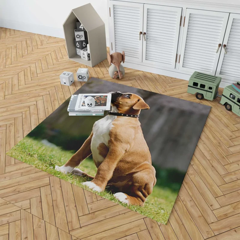 Adorable Boxer Puppy: Boxer Floor Rug 1